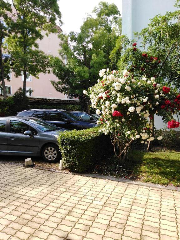 Guest Apartment Dental Space Slăntjev Brjag Exteriör bild